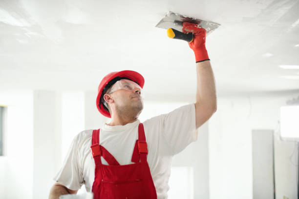  , USA Dry wall and painting Pros